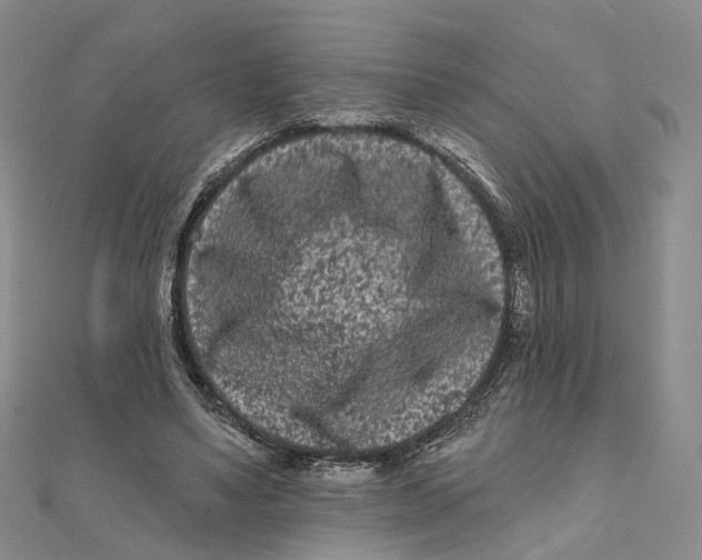 X0000112060491200909011005