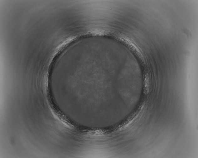 X0000112060492200909011005