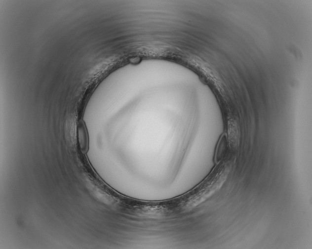 X0000112060493200909011005