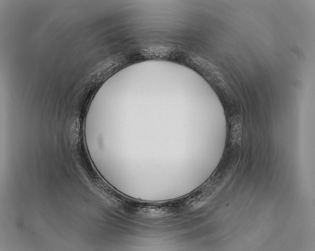 X0000112060498200909011005