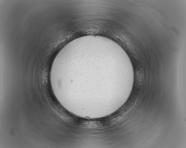 X0000112060499200909011005