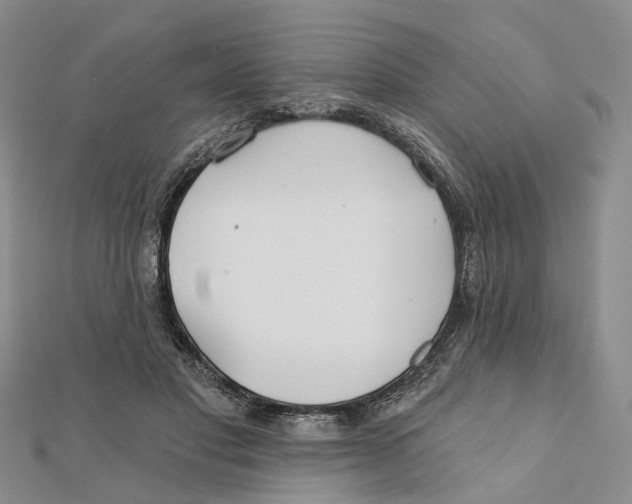 X0000112060501200909011005
