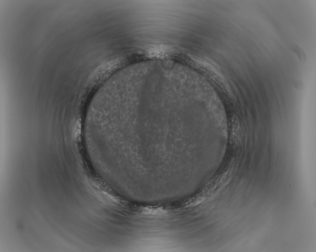 X0000112060502200909011005