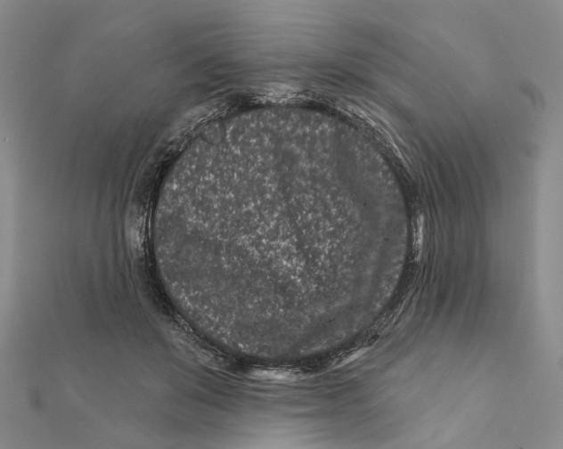 X0000112060503200909011005
