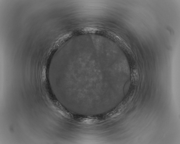 X0000112060504200909011005