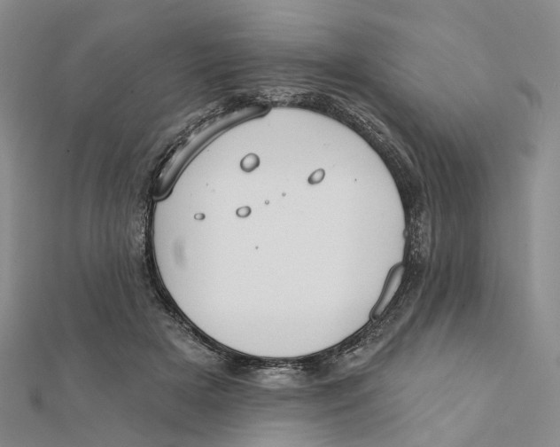X0000112060505200909011005