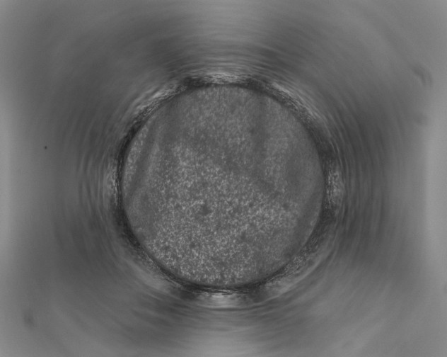 X0000112060506200909011005