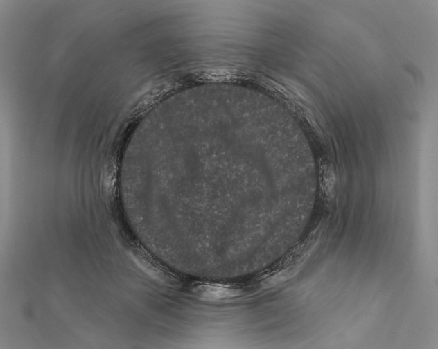 X0000112060507200909011005