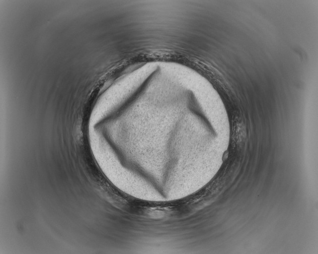 X0000112060508200909011005