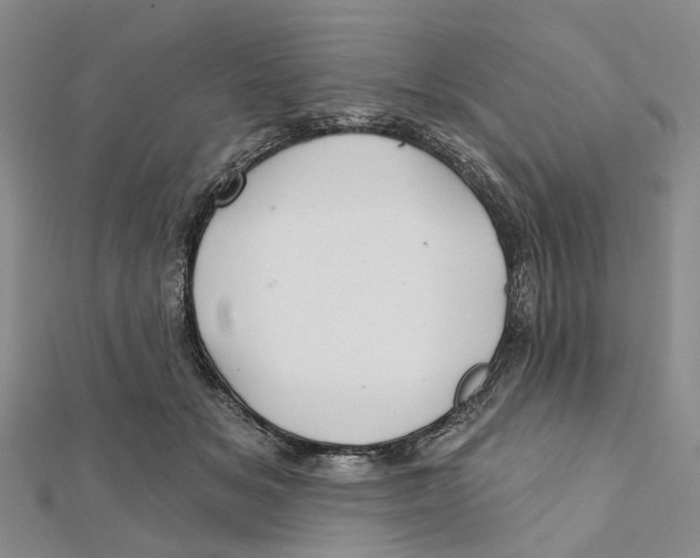 X0000112060509200909011005