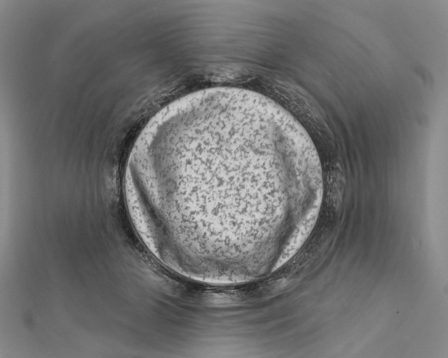 X0000112060510200909011005