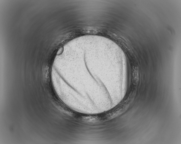 X0000112060511200909011005