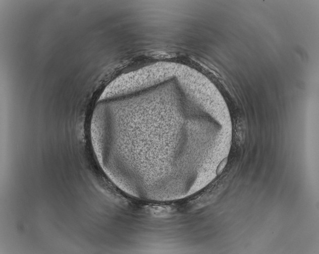 X0000112060512200909011005
