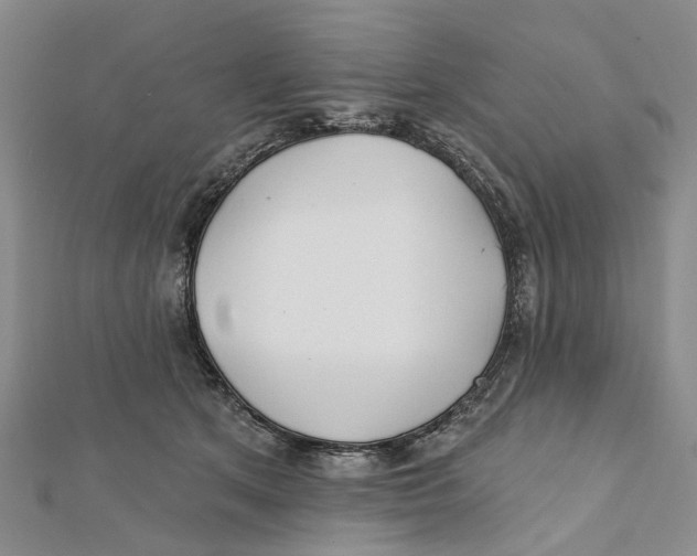 X0000112060513200909011005