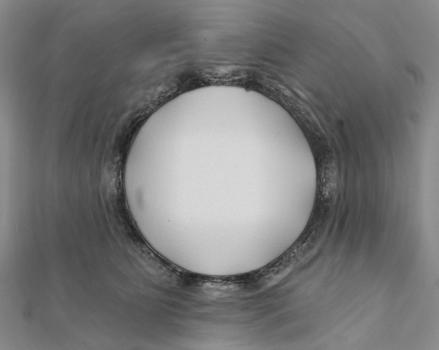 X0000112060515200909011005