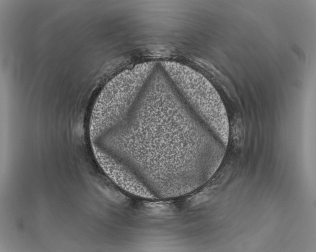 X0000112060516200909011005