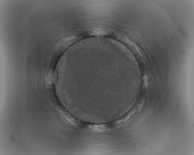 X0000112060517200909011005