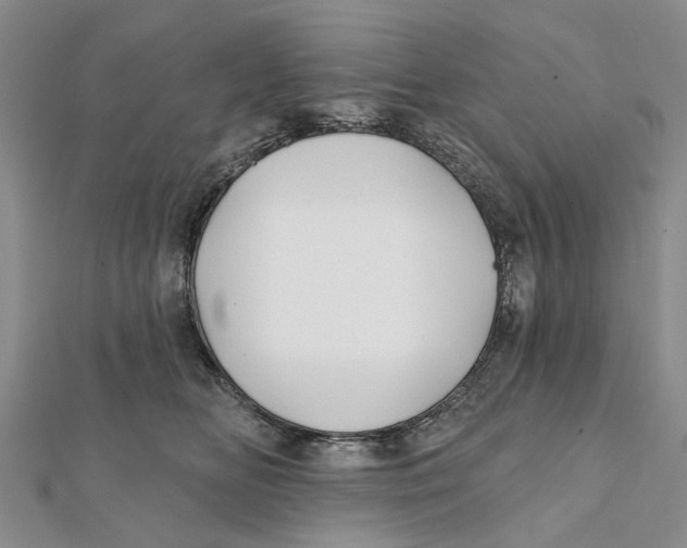 X0000112060518200909011005