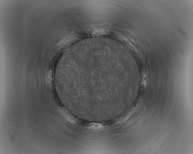 X0000112060519200909011005