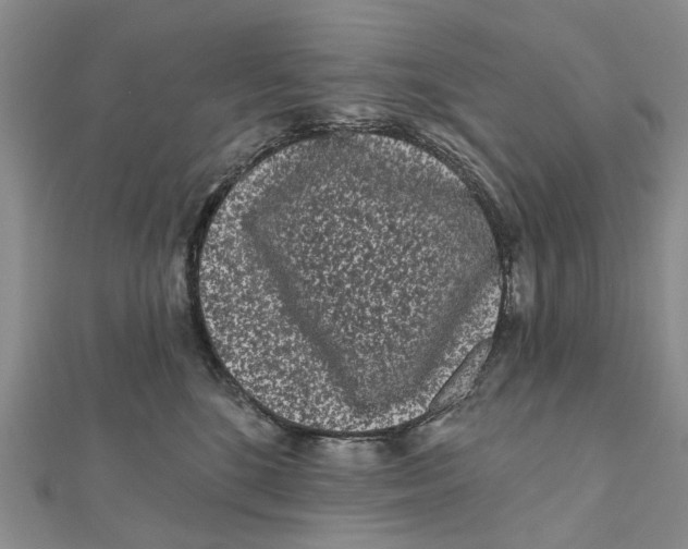 X0000112060520200909011005