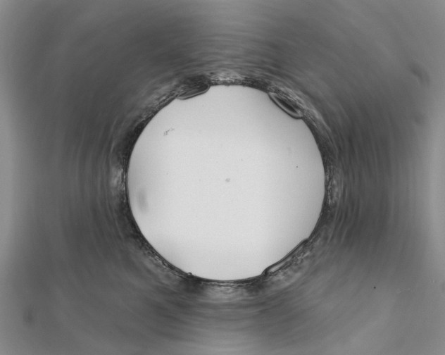 X0000112060521200909011005