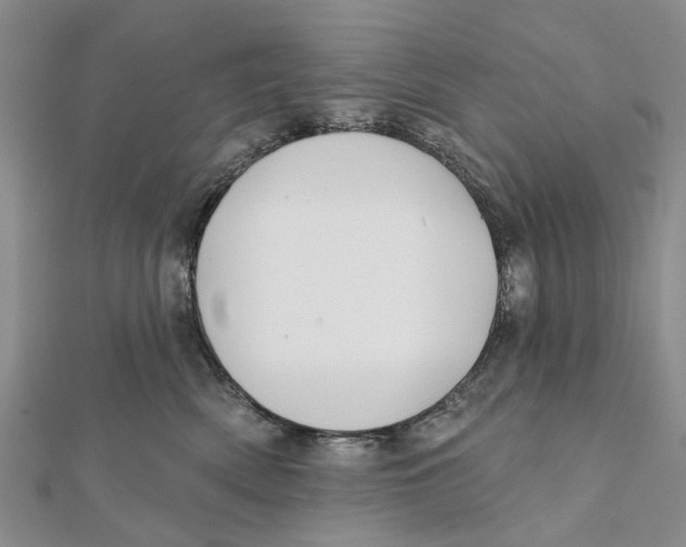 X0000112060522200909011005