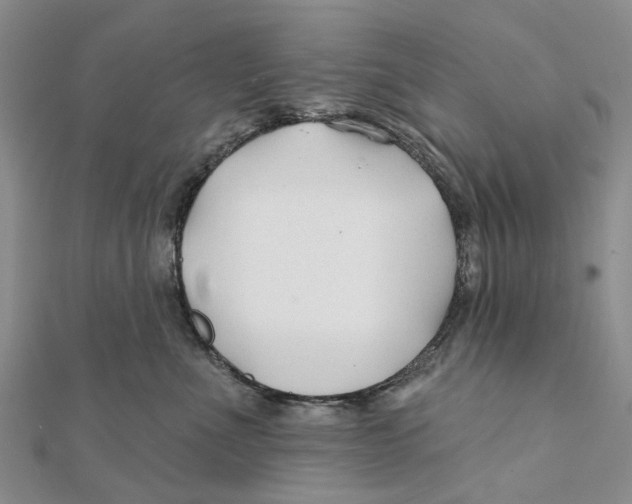 X0000112060523200909011005