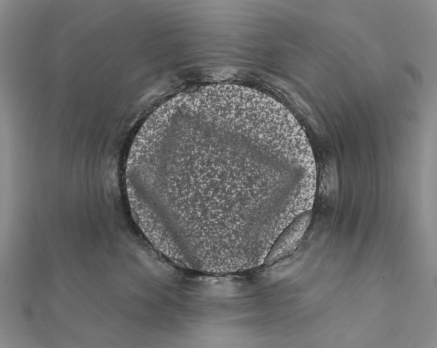 X0000112060524200909011005