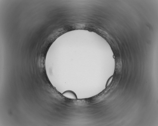 X0000112060525200909011005