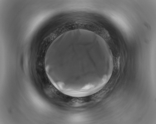 X0000112060526200909011005