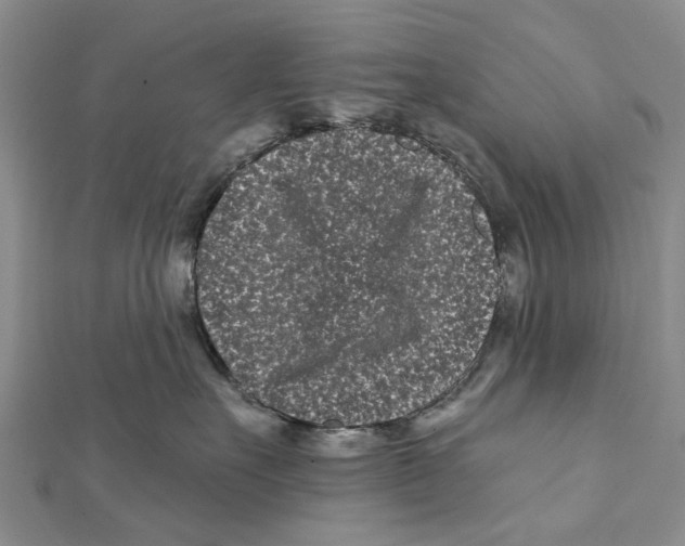 X0000112060527200909011005