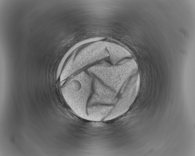 X0000112060528200909011005
