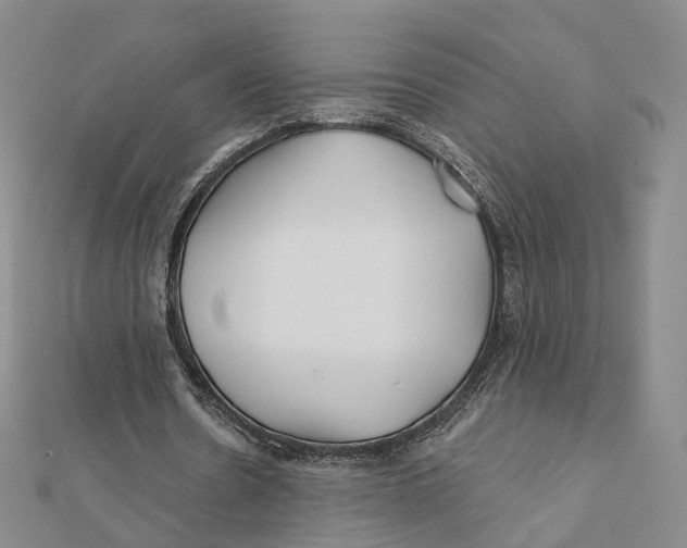 X0000112060530200909011004
