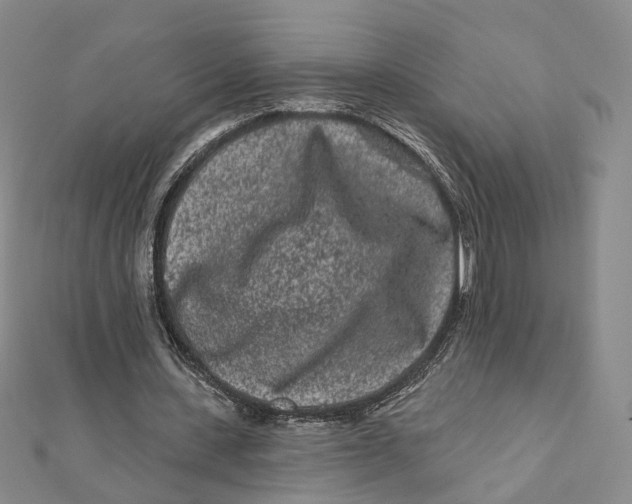 X0000112060531200909011004