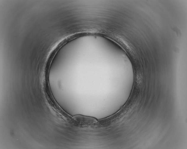 X0000112060532200909011004