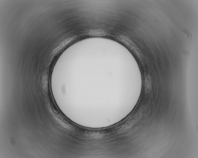 X0000112060533200909011004