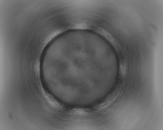 X0000112060534200909011004
