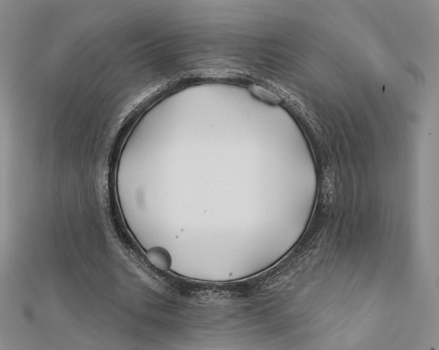 X0000112060535200909011004