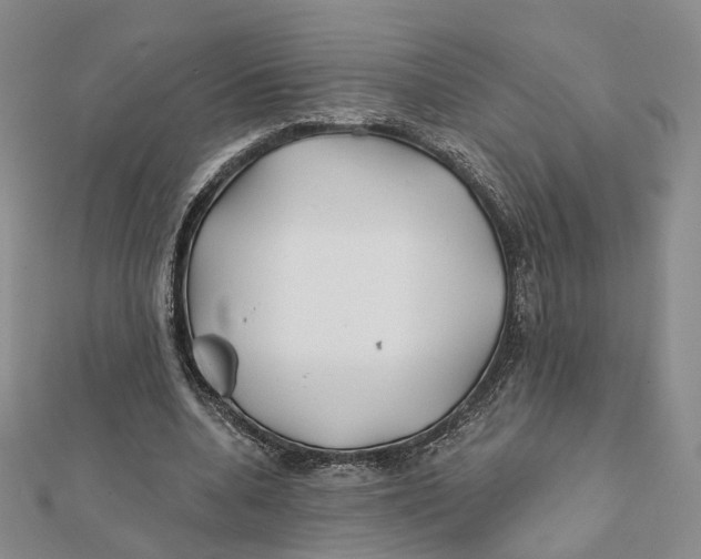 X0000112060536200909011004