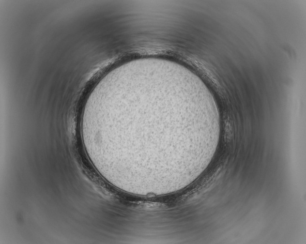 X0000112060539200909011004