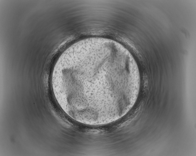 X0000112060542200909011004