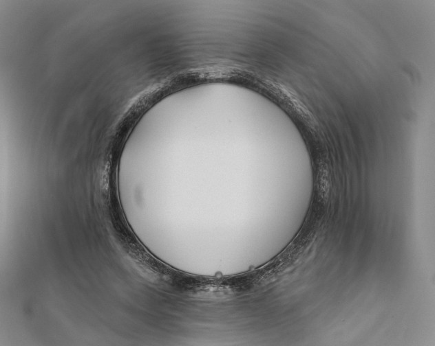 X0000112060543200909011004