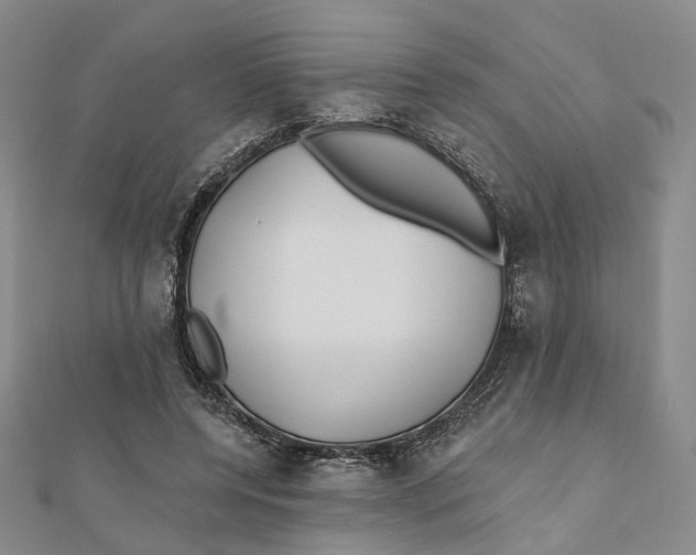 X0000112060544200909011004