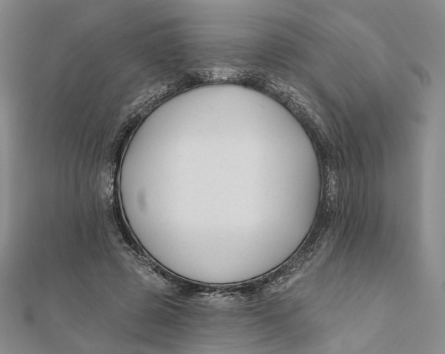 X0000112060545200909011004