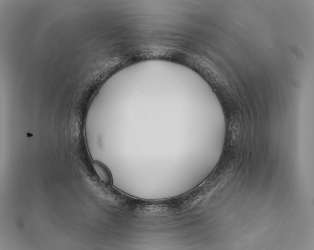 X0000112060546200909011004