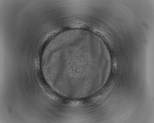 X0000112060547200909011004