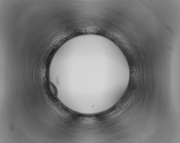X0000112060548200909011004