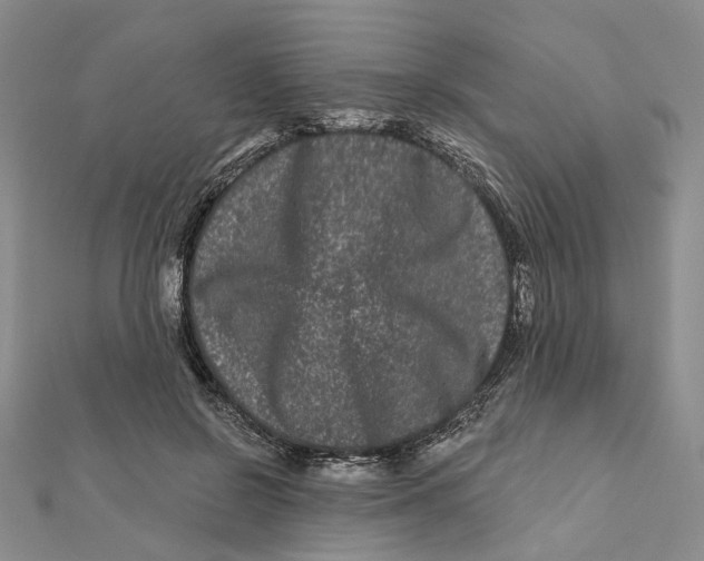 X0000112060550200909011004