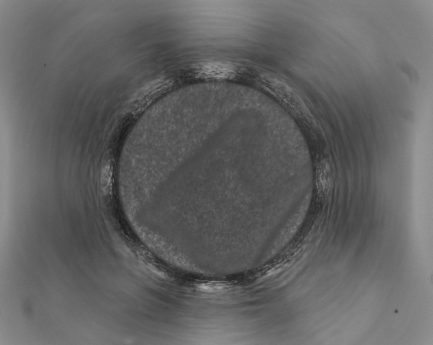 X0000112060551200909011004