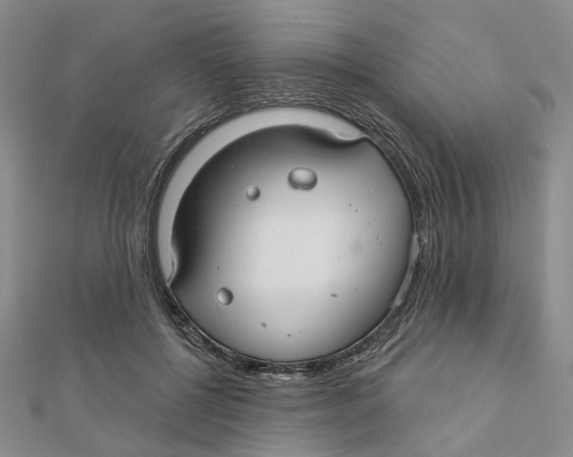 X0000112060552200909011004